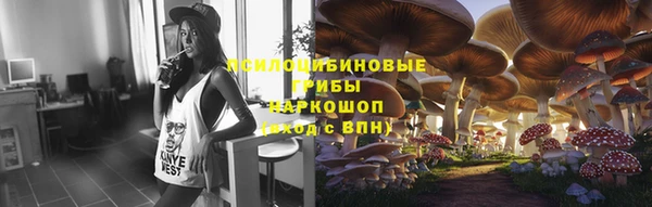 тгк Балахна