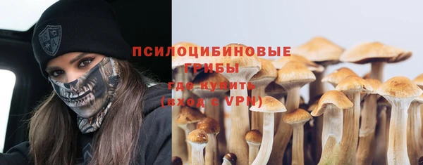 твердый Новодвинск