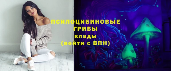 тгк Балахна