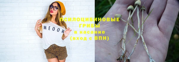 PSILOCYBIN Новокубанск