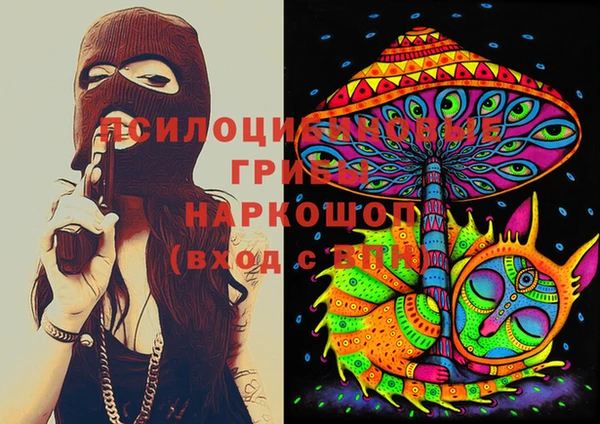 PSILOCYBIN Новокубанск