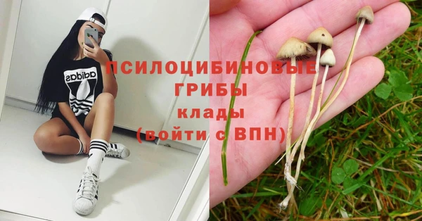тгк Балахна