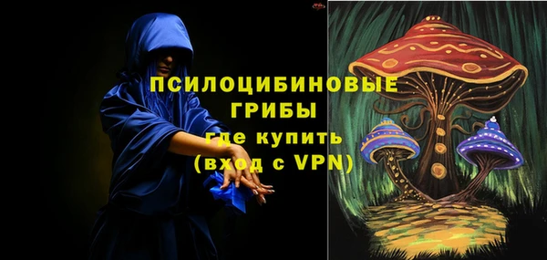 PSILOCYBIN Новокубанск