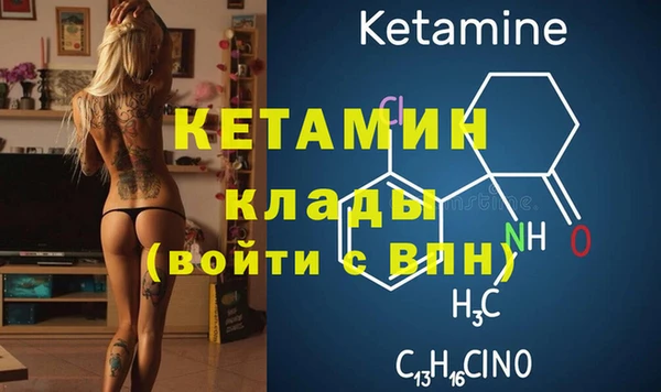 твердый Новодвинск