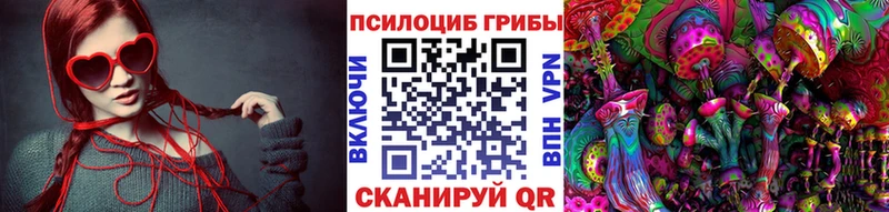 Псилоцибиновые грибы мицелий  где продают   мега сайт  Нязепетровск 